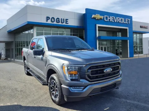 Gray 2023 Ford F-150 XLT for sale in Powderly, KY