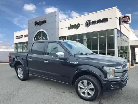 Black 2019 Ford F-150 Platinum for sale in Powderly, KY