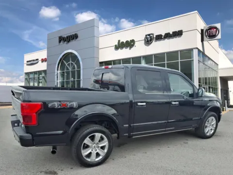 Photos of 2019 Ford F-150 Platinum for sale in Powderly, KY at Pogue Chrysler Dodge Jeep RAM FIAT