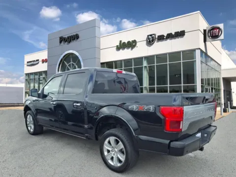 Another view of 2019 Ford F-150 Platinum for sale in Powderly, KY at Pogue Chrysler Dodge Jeep RAM FIAT