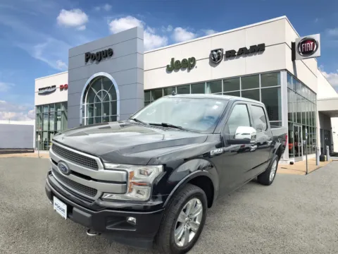 More photos of 2019 Ford F-150 Platinum at Pogue Chrysler Dodge Jeep RAM FIAT, KY