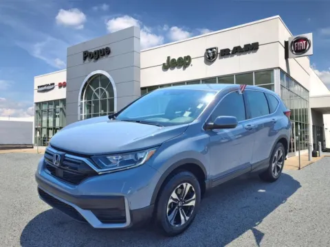 More photos of 2022 Honda CR-V Special Edition at Pogue Chrysler Dodge Jeep RAM FIAT, KY