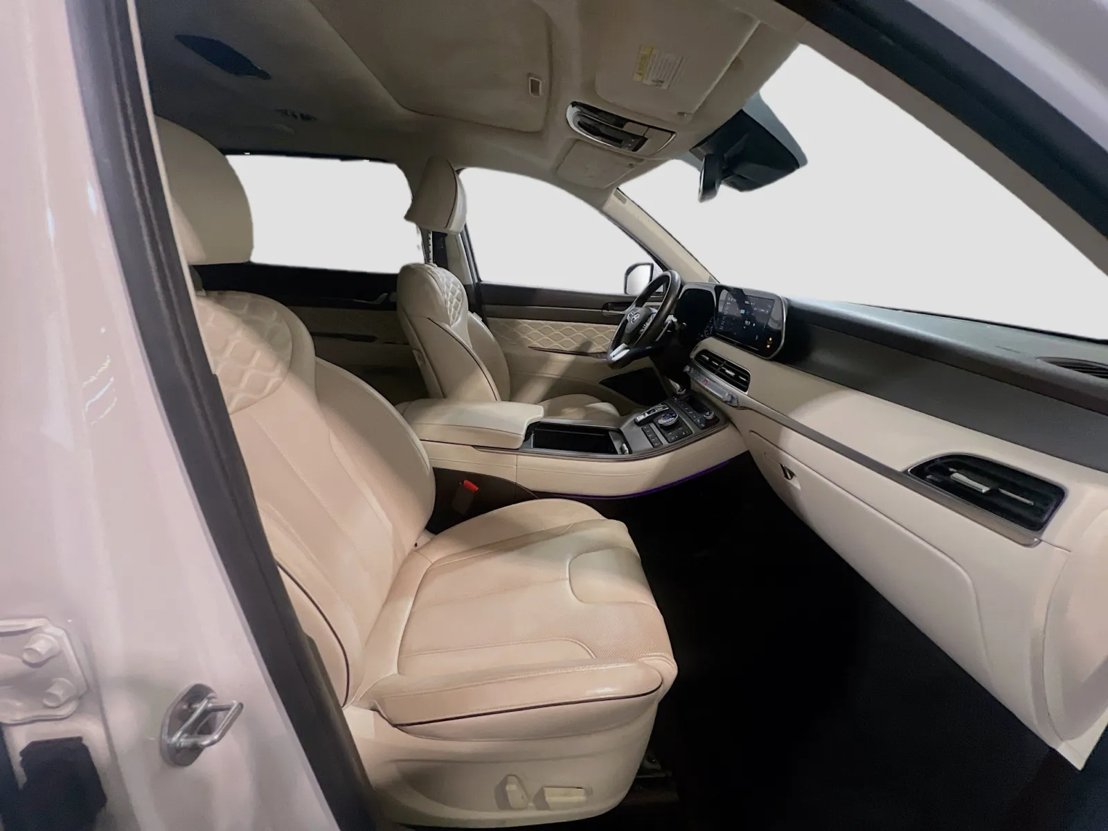 2020 Hyundai Palisade Limited - Photo 23