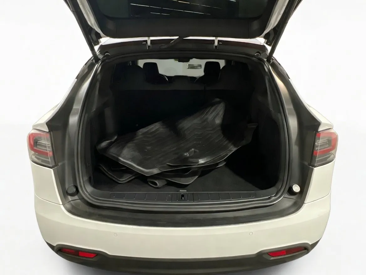 Tesla Model X photo 20