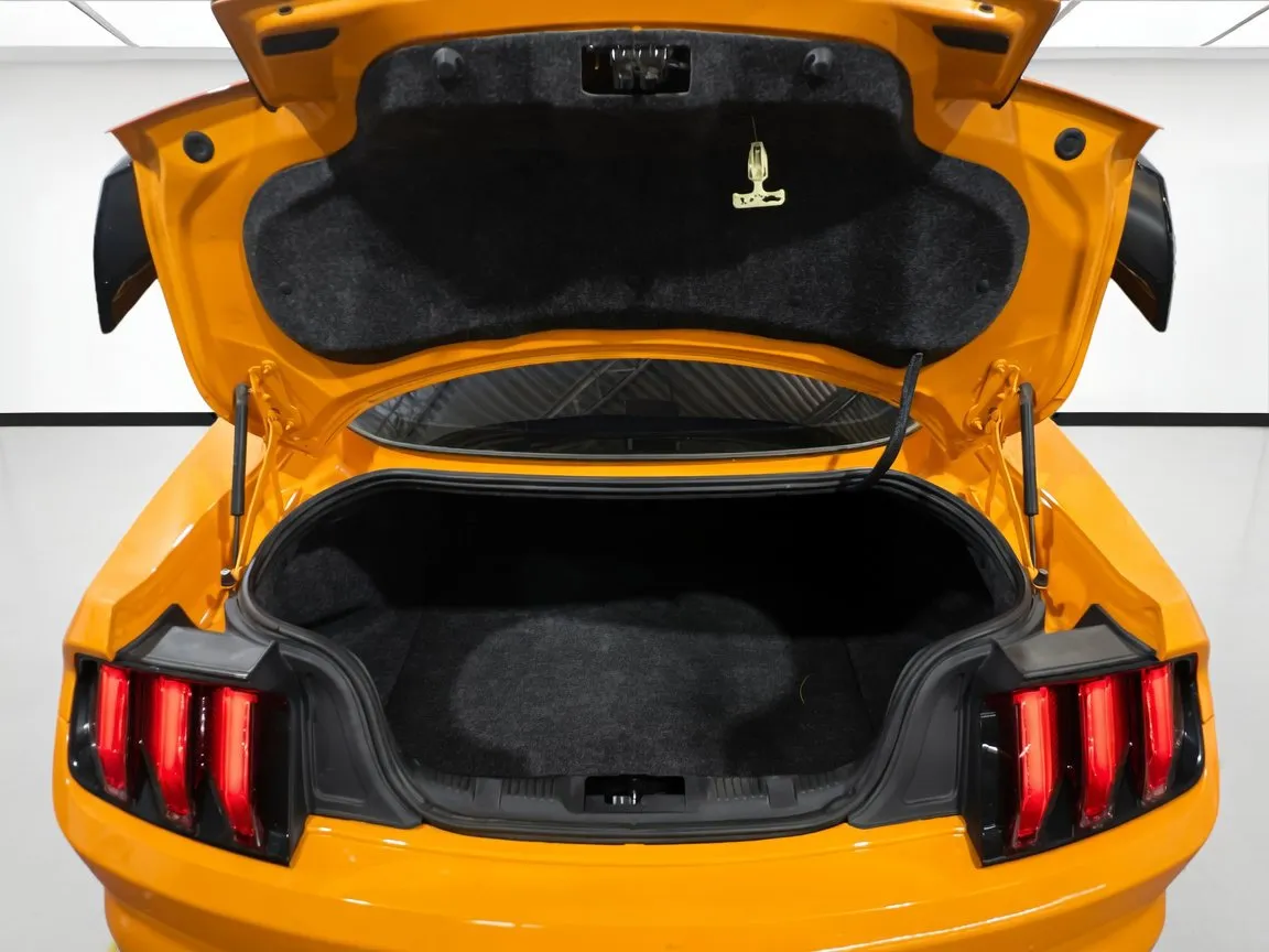2019 Ford Mustang GT - Photo 17
