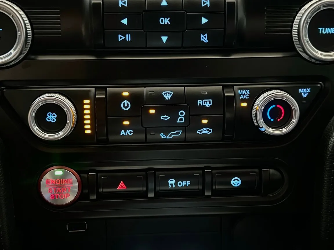 2019 Ford Mustang GT - Photo 11