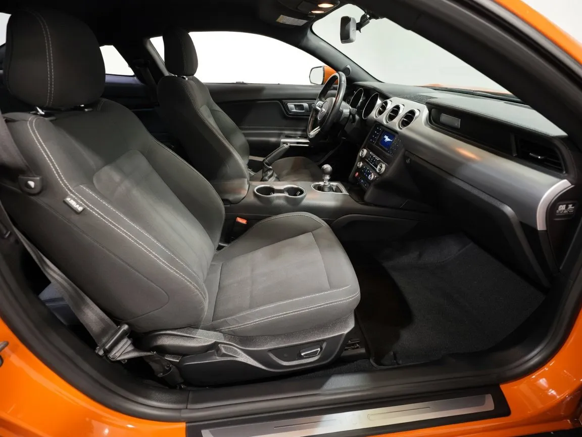 2019 Ford Mustang GT - Photo 19