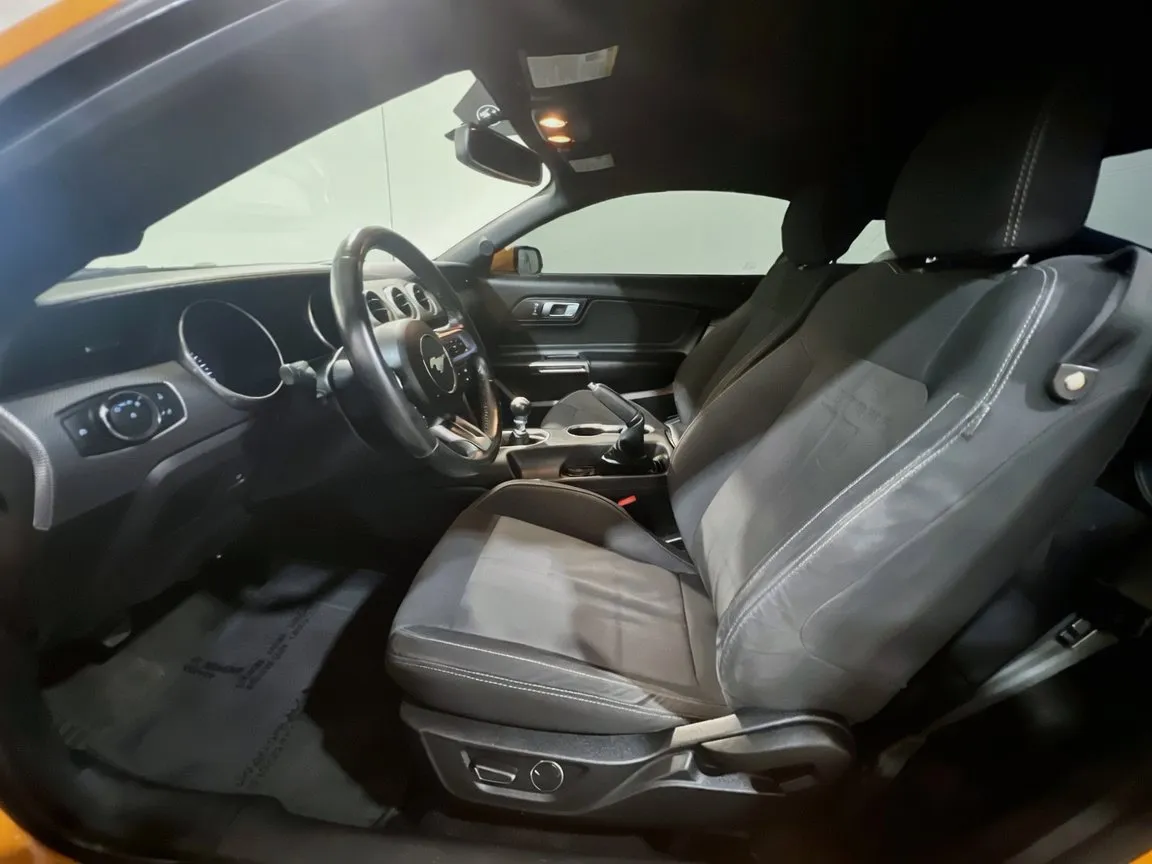 2019 Ford Mustang GT - Photo 14