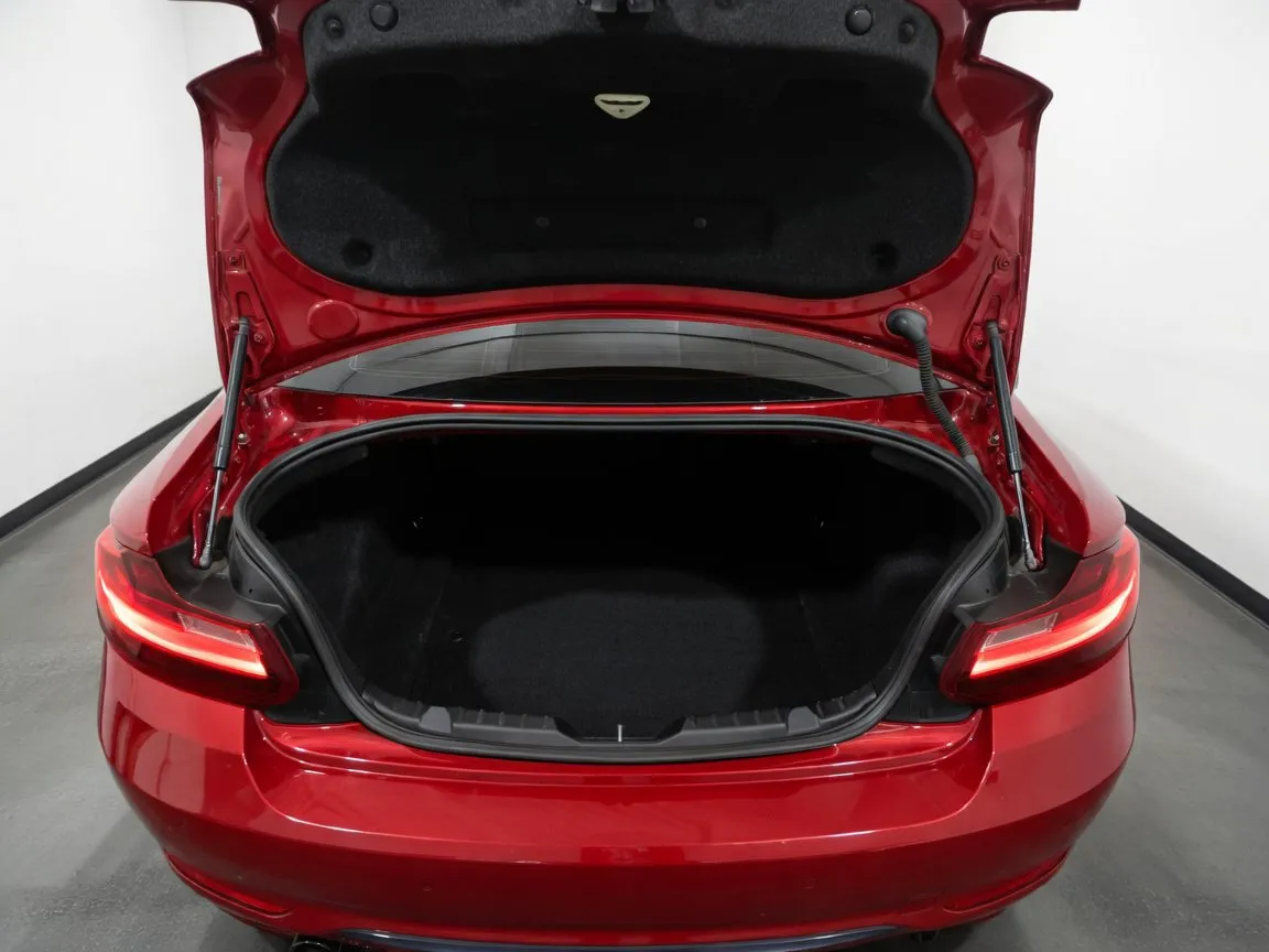 BMW 2 Series photo 19