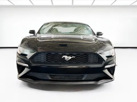 Photos of 2019 Ford Mustang EcoBoost for sale in Chandler, AZ at STG Chandler