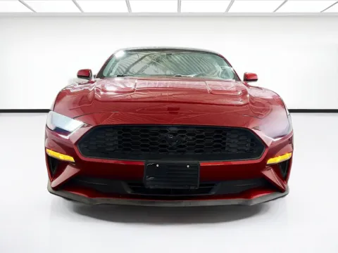 Photos of 2019 Ford Mustang EcoBoost for sale in Chandler, AZ at STG Chandler