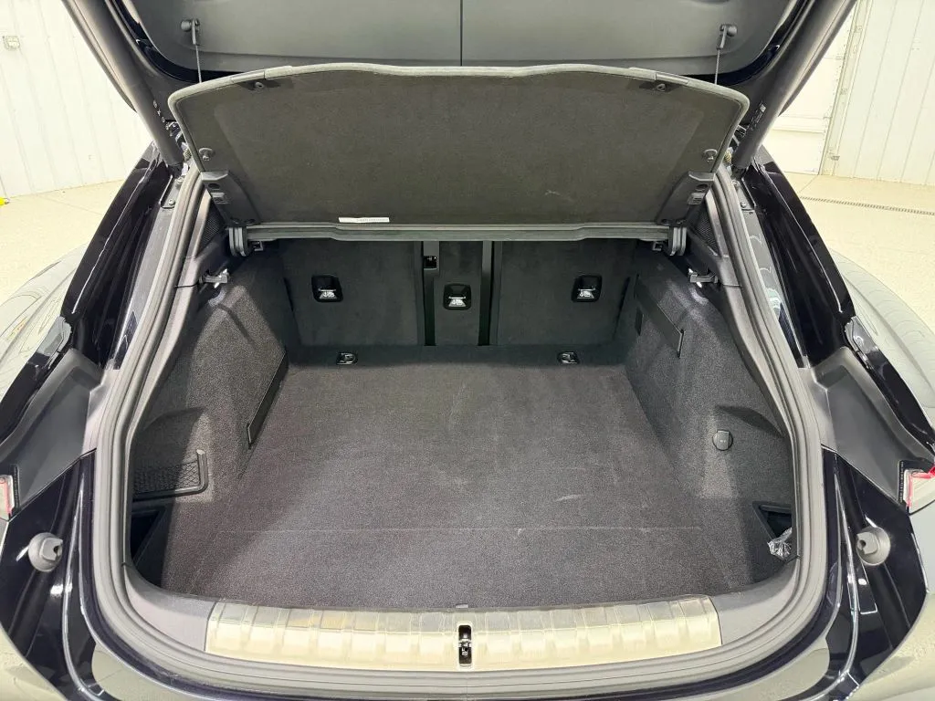 Porsche Taycan photo 18