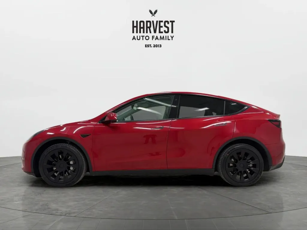 Tesla Model Y photo 2