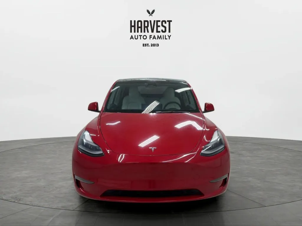 Tesla Model Y photo 11