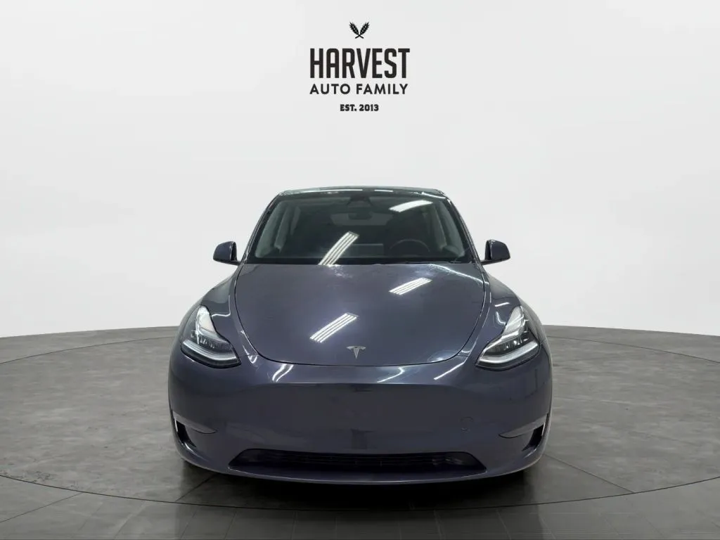 Tesla Model Y photo 11