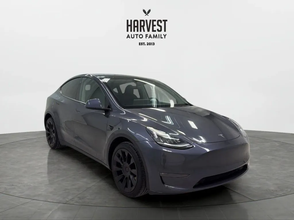 Tesla Model Y photo 10