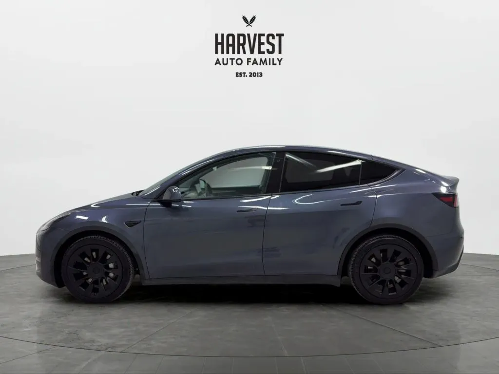 Tesla Model Y photo 2