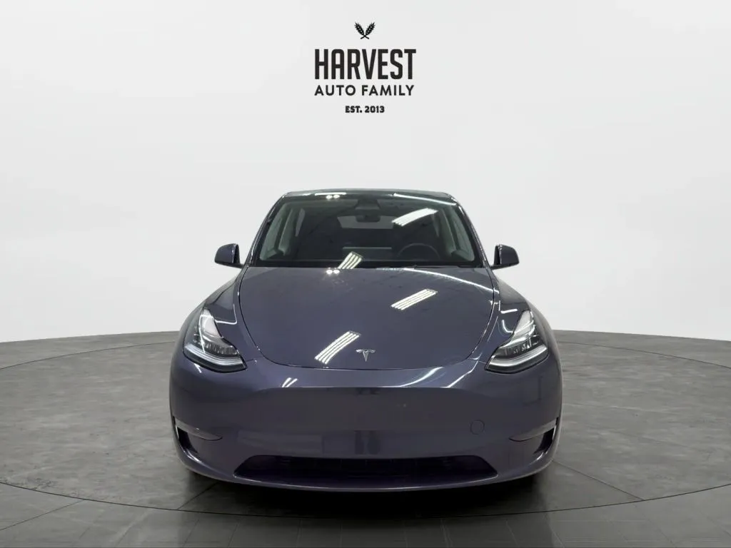 Tesla Model Y photo 11