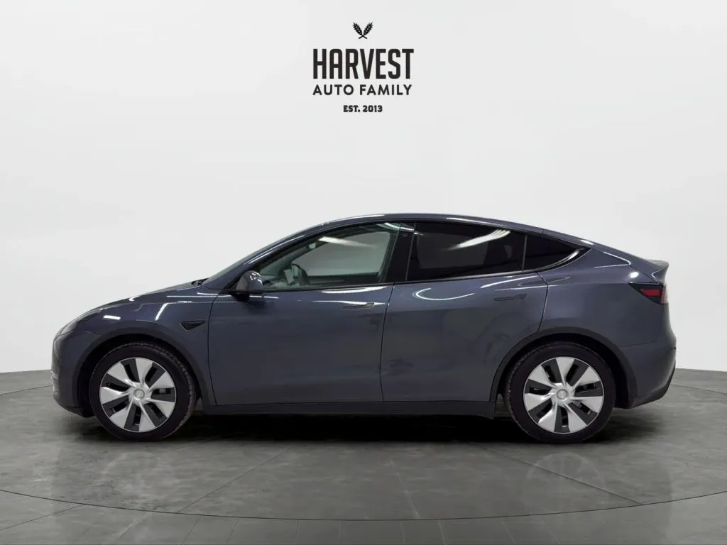 Tesla Model Y photo 2