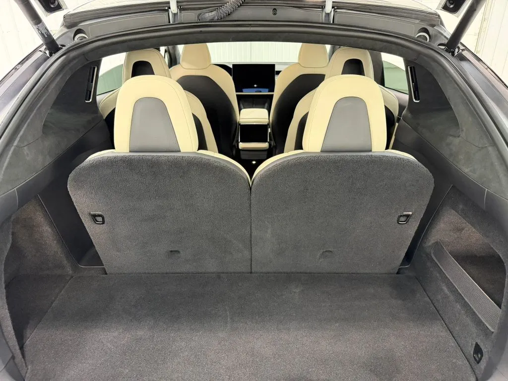Tesla Model X photo 20