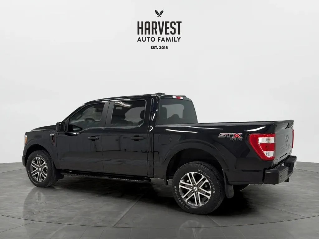 Ford F-150 photo 3
