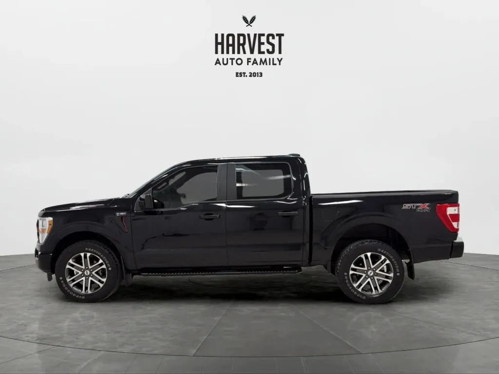 Ford F-150 photo 2