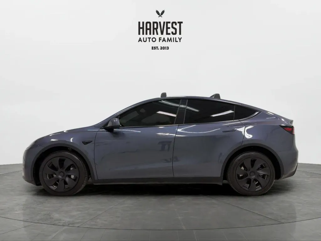 Tesla Model Y photo 2