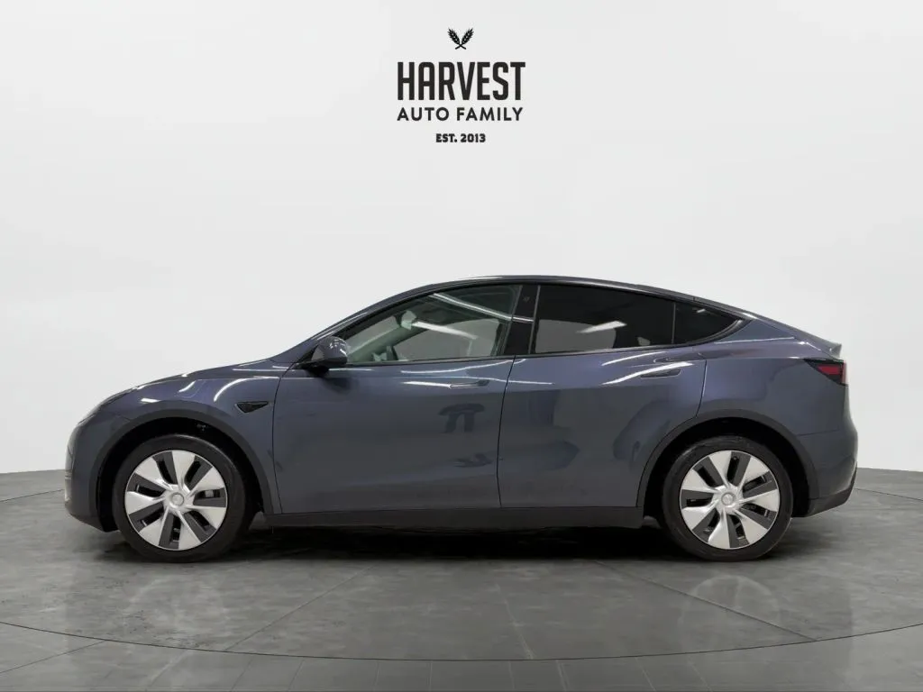 Tesla Model Y photo 2