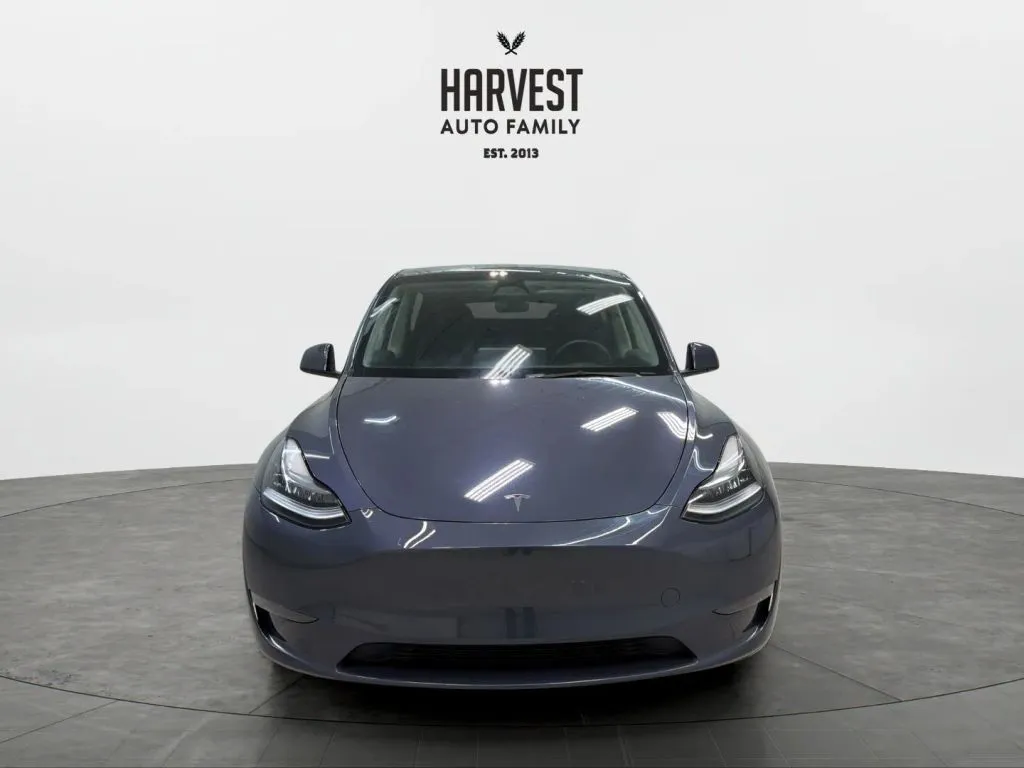 Tesla Model Y photo 11