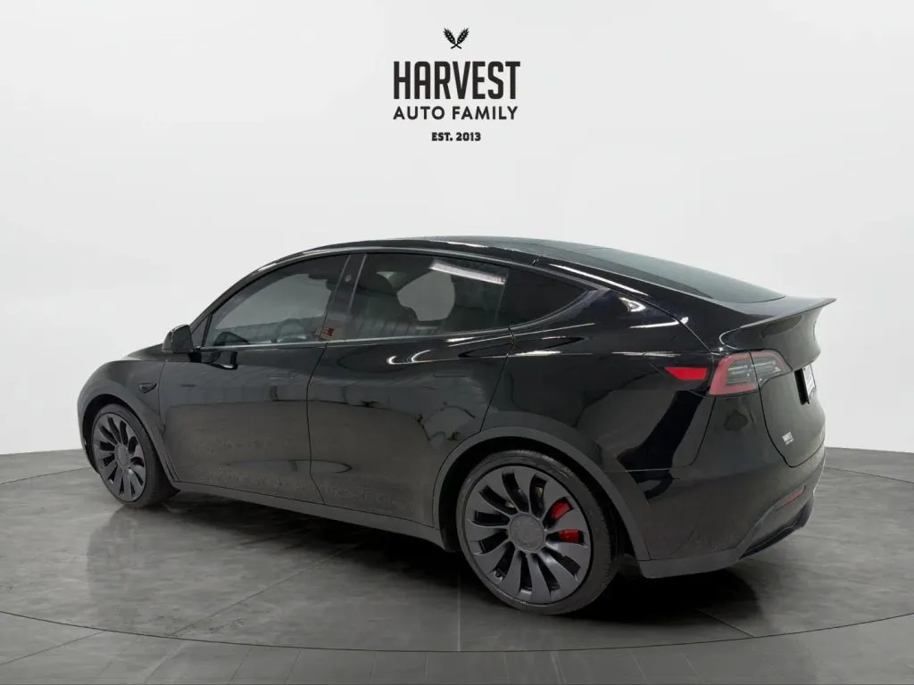 Tesla Model Y photo 3