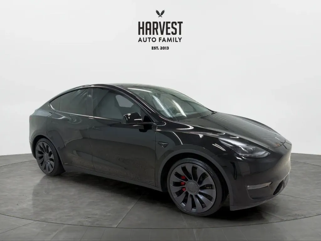 Tesla Model Y photo 9