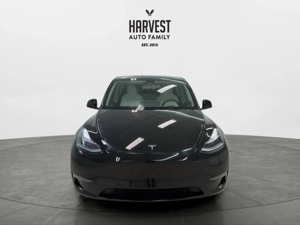 Tesla Model Y photo 11