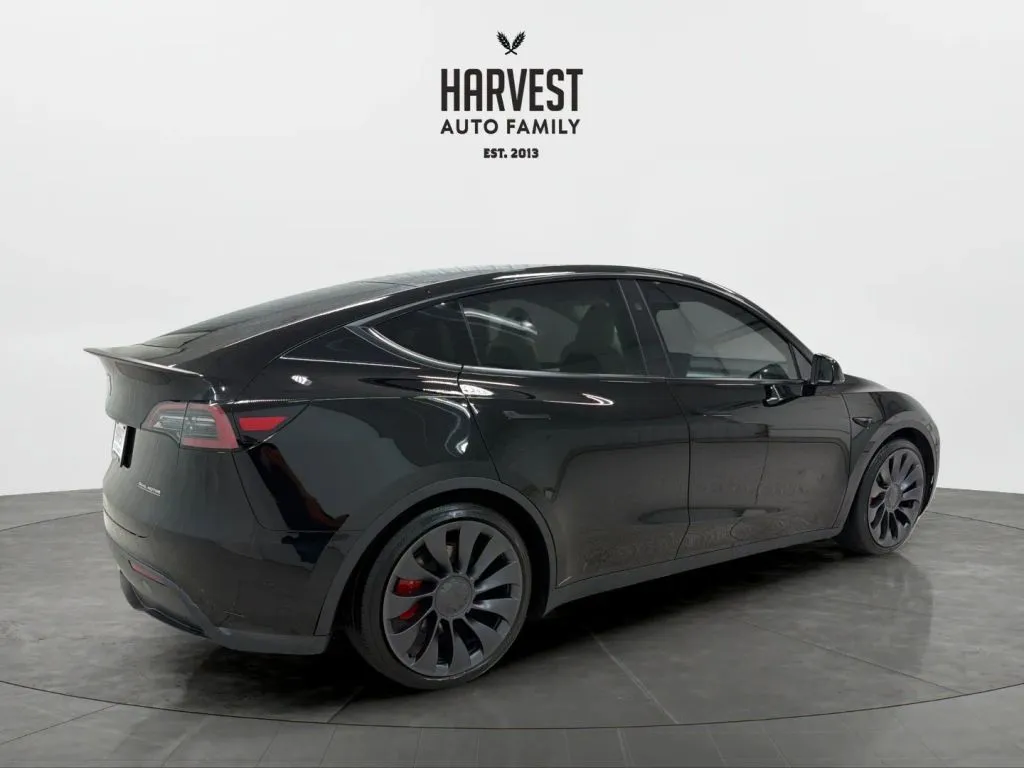 Tesla Model Y photo 7