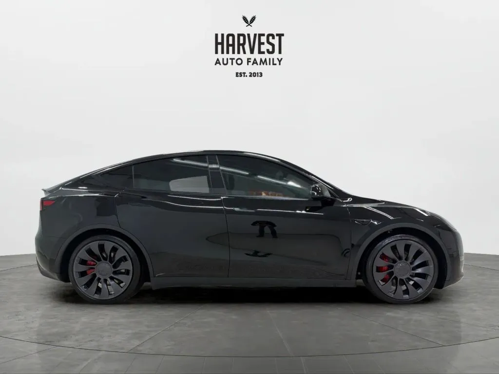Tesla Model Y photo 8