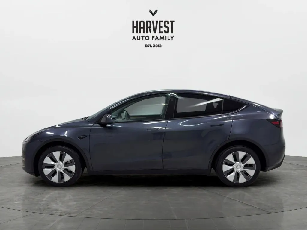 Tesla Model Y photo 2