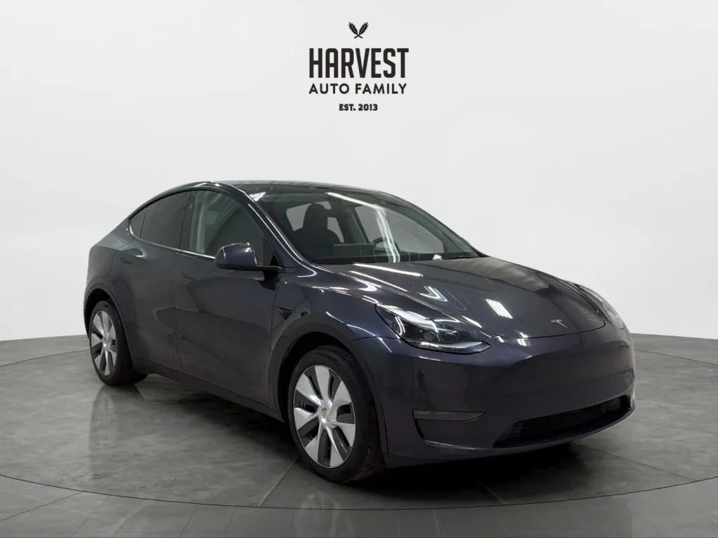 Tesla Model Y photo 10