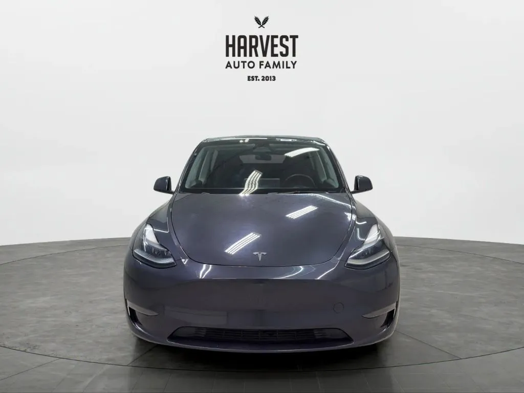 Tesla Model Y photo 11