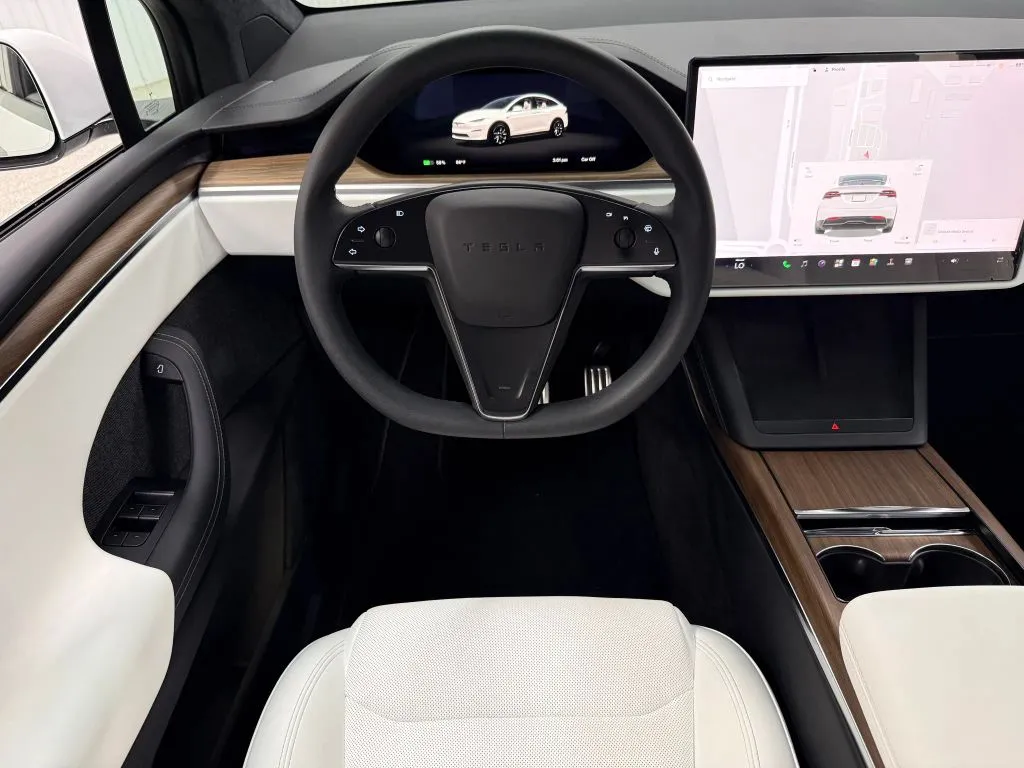 Tesla Model X photo 20
