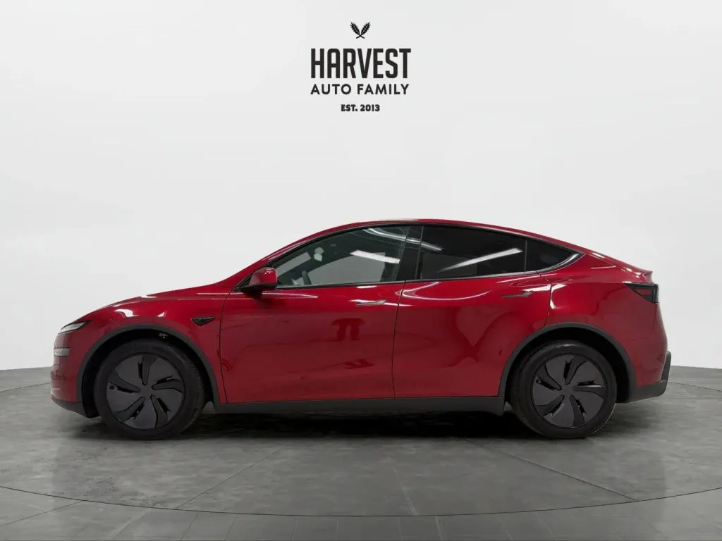 Tesla Model Y photo 2