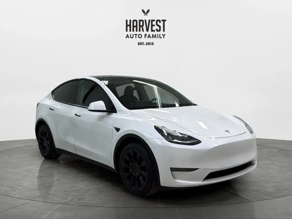 Tesla Model Y photo 10