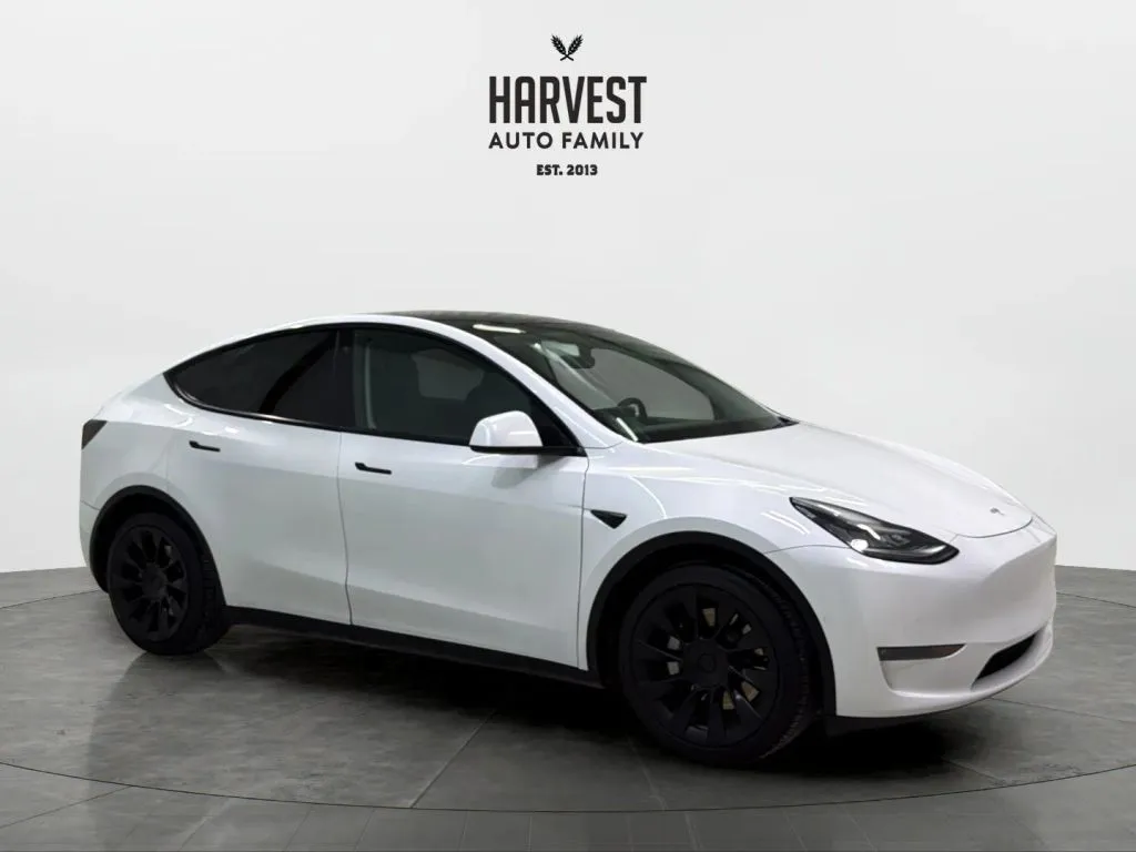 Tesla Model Y photo 9