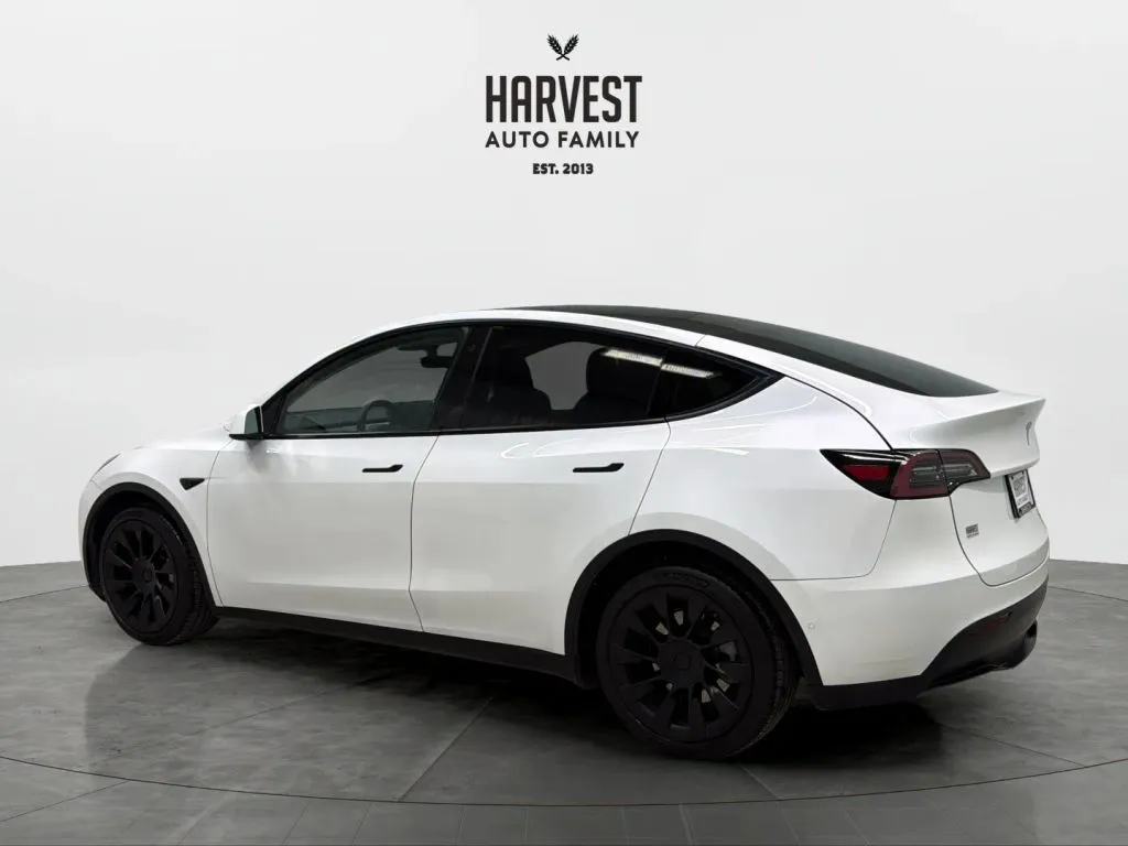 Tesla Model Y photo 3