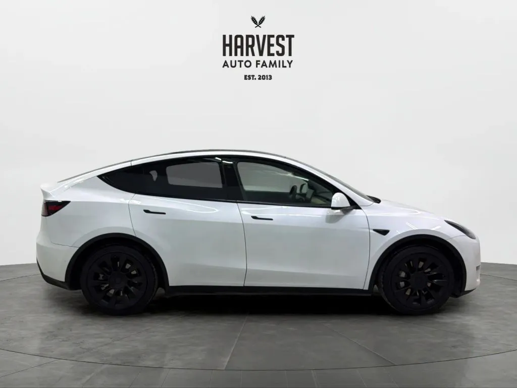 Tesla Model Y photo 8