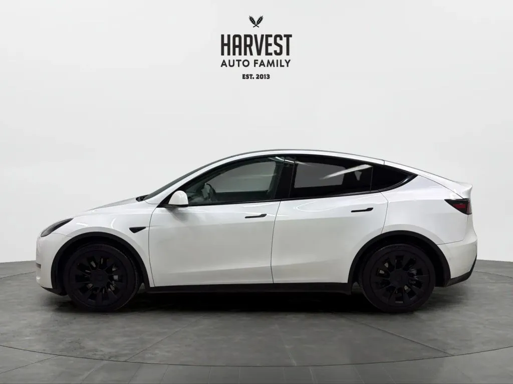 Tesla Model Y photo 2
