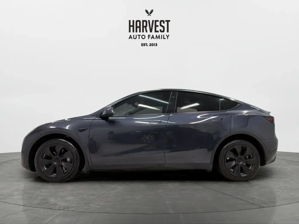 Tesla Model Y photo 2