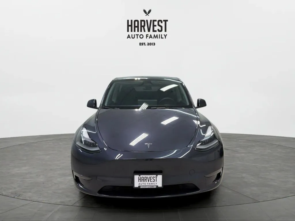 Tesla Model Y photo 11
