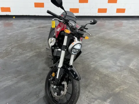 More photos of 2019 HONDA CBF 300 at Moto Boutique, OH