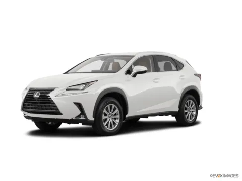 White 2018 LEXUS NX 300 BASE for sale in Statesboro, GA