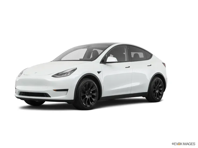 2020 Tesla Model Y's photo