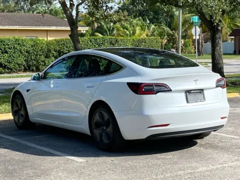 More photos of 2019 Tesla Model 3 Standard Range Plus at Auto Trust USA, FL